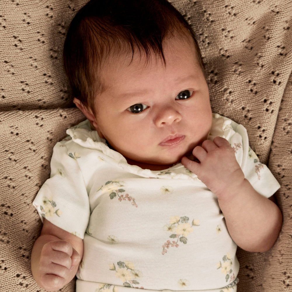 Lil' Atelier - Nbfgayo Sio Body