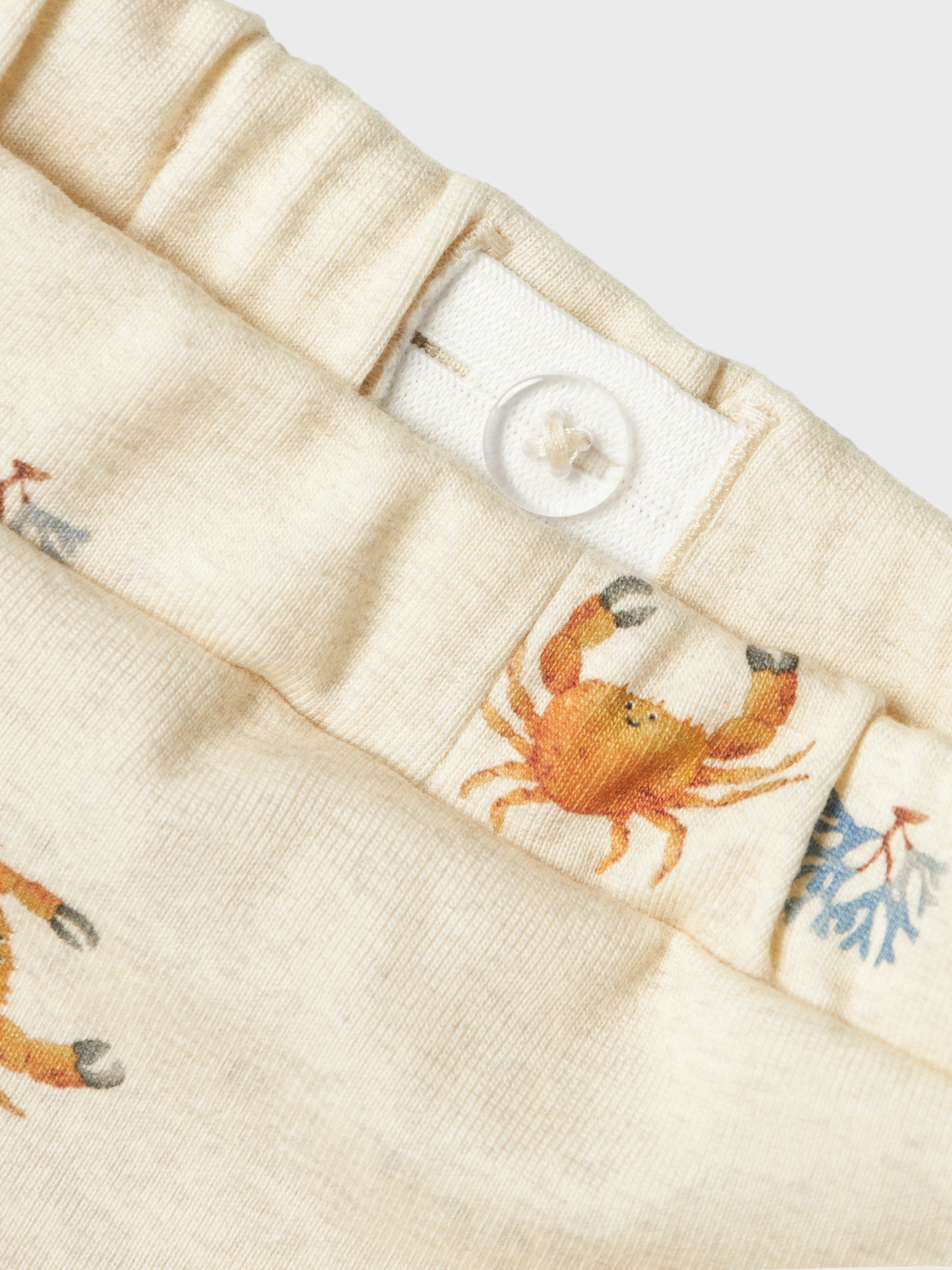 NBMFABIO PANT str. 50